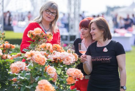 La rosa Portorose